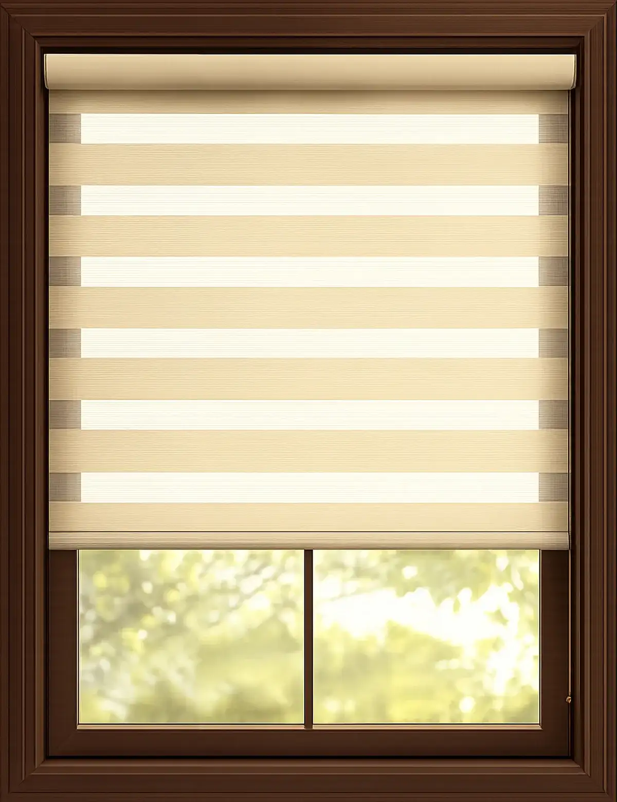 Zebra blinds by Convenient Blinds